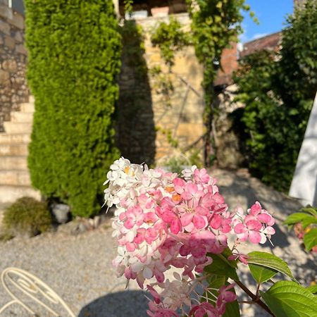 La Tour De Cause Bed and Breakfast Castelnaud-la-Chapelle Buitenkant foto