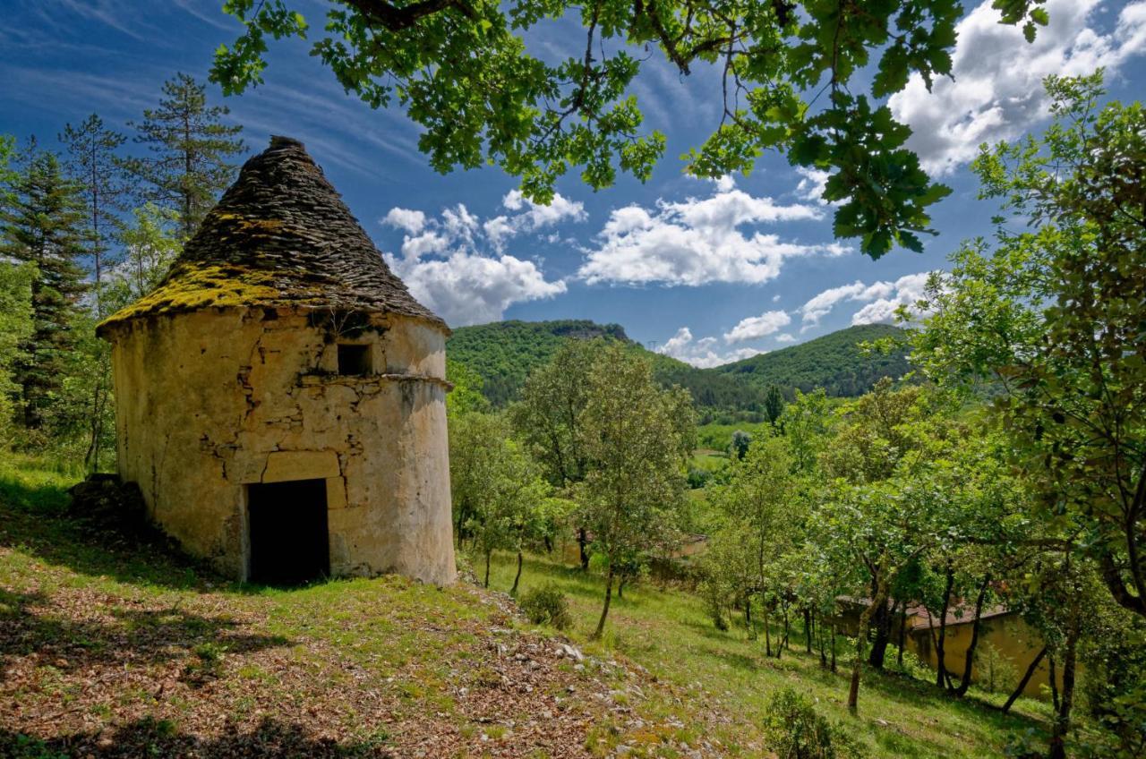 La Tour De Cause Bed and Breakfast Castelnaud-la-Chapelle Buitenkant foto