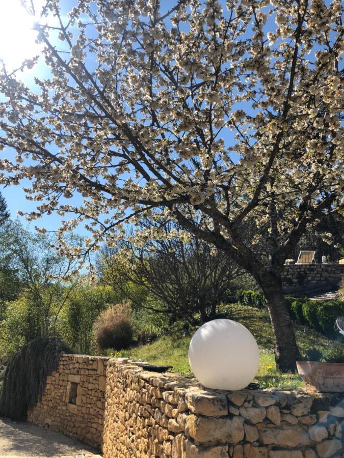 La Tour De Cause Bed and Breakfast Castelnaud-la-Chapelle Buitenkant foto