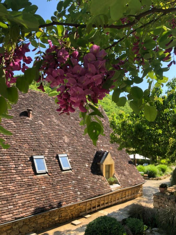 La Tour De Cause Bed and Breakfast Castelnaud-la-Chapelle Buitenkant foto