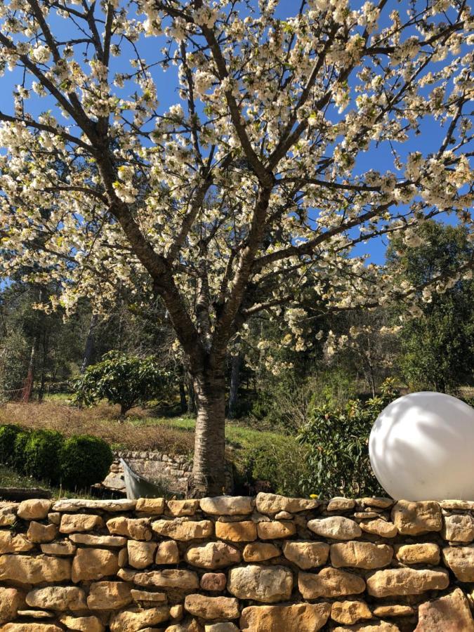La Tour De Cause Bed and Breakfast Castelnaud-la-Chapelle Buitenkant foto