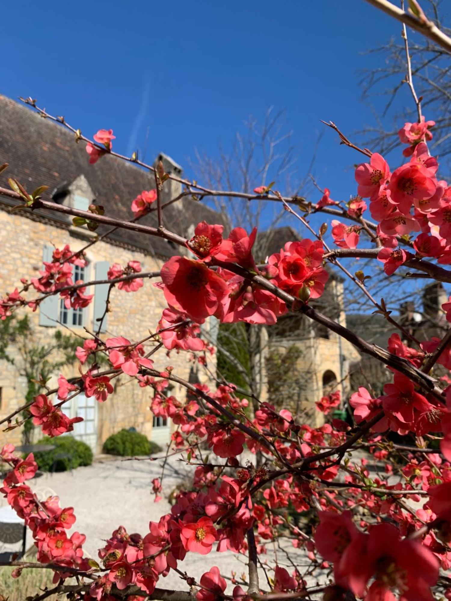 La Tour De Cause Bed and Breakfast Castelnaud-la-Chapelle Buitenkant foto