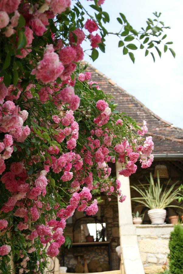 La Tour De Cause Bed and Breakfast Castelnaud-la-Chapelle Buitenkant foto